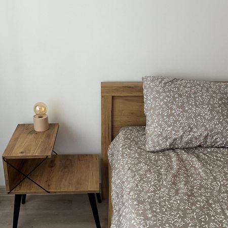 Lareina Apartament Cluj Napoca Bagian luar foto