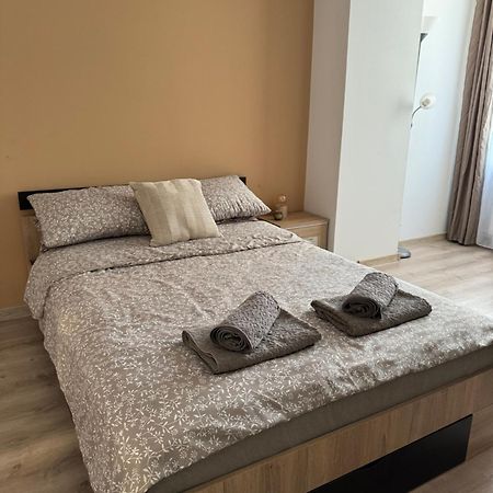 Lareina Apartament Cluj Napoca Bagian luar foto