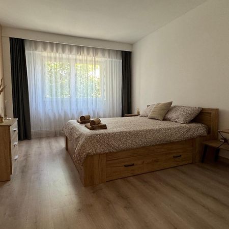 Lareina Apartament Cluj Napoca Bagian luar foto