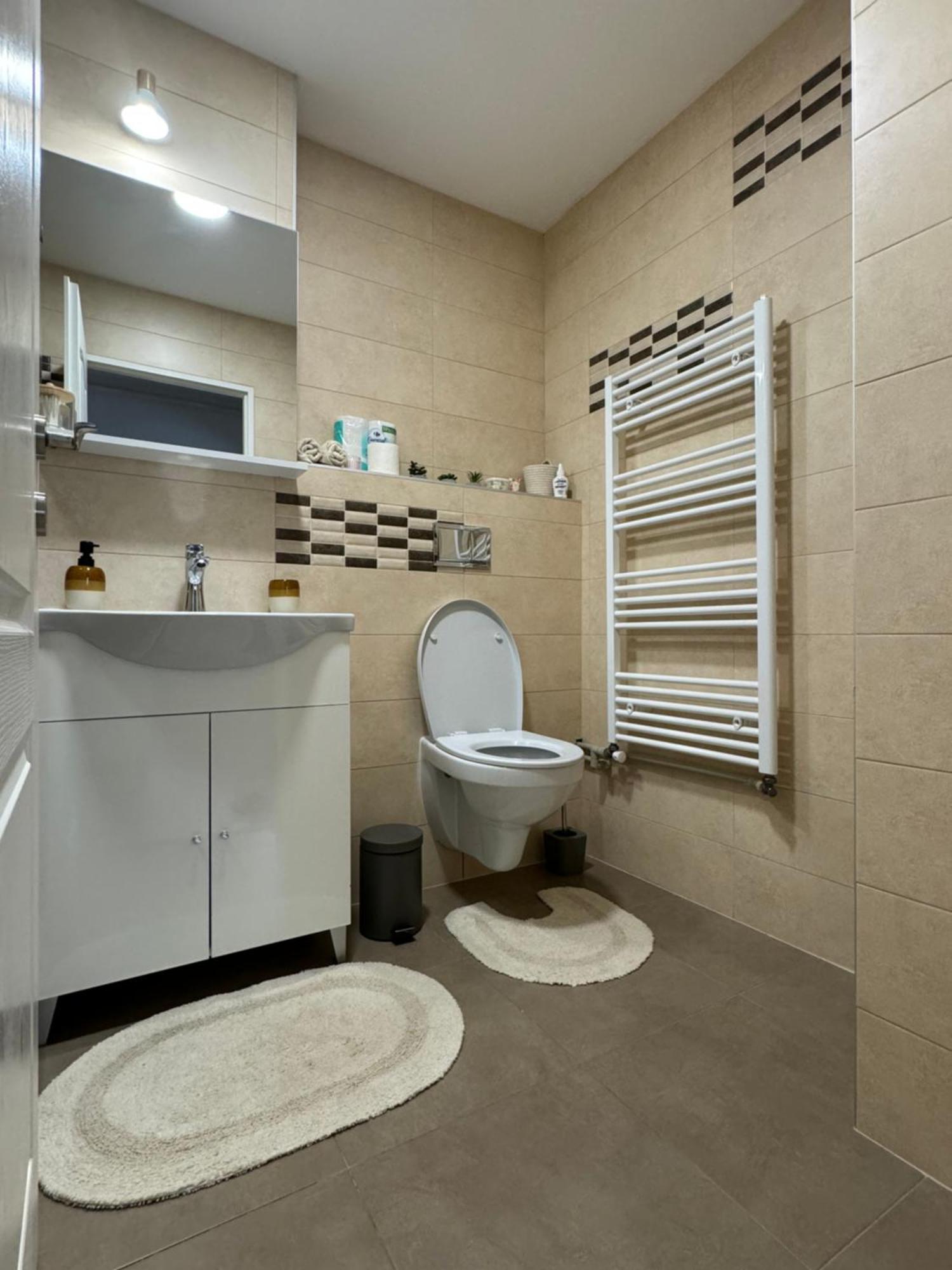 Lareina Apartament Cluj Napoca Bagian luar foto