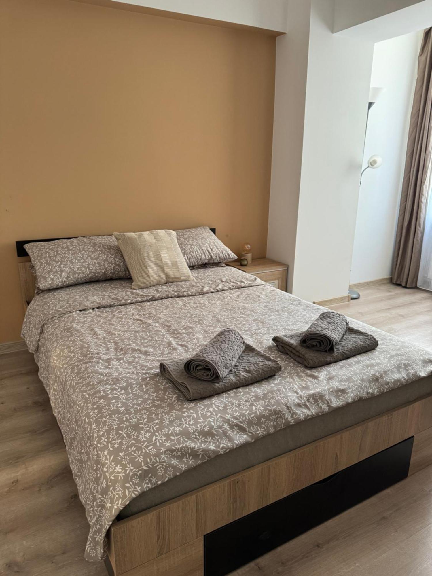 Lareina Apartament Cluj Napoca Bagian luar foto